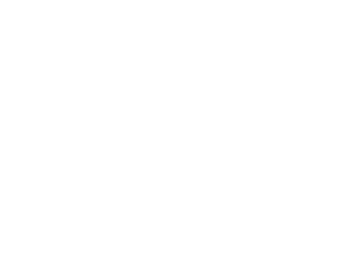 Metoda standard